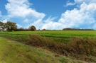 FerienhausNiederlande - : De Kokmeeuw Huis Nr 11