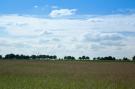 FerienhausNiederlande - : Buitenplaats Berg en Bos nummer 43