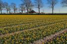 FerienhausNiederlande - : De Pauwenhof