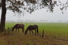 VakantiehuisNederland - : Buitenplaats Berg en Bos nummer 18