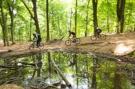 FerienhausNiederlande - : Villa Loonse Duinen