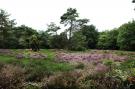 FerienhausNiederlande - : De Wildenberg