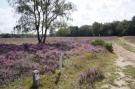 FerienhausNiederlande - : Buitenplaats Berg en Bos nummer 4