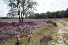 FerienhausNiederlande - : Buitenplaats Berg en Bos nummer 4