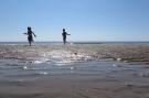 FerienhausNiederlande - : Slaapstrandhuisje - Strand dishoek 68  Dishoek