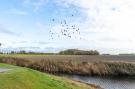 FerienhausNiederlande - : De Ooievaar Huis Nr 47