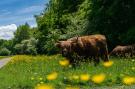 FerienhausNiederlande - : Resort Het Amsterdamse Bos 2