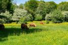 VakantiehuisNederland - : Resort Het Amsterdamse Bos 2