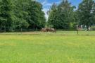 FerienhausNiederlande - : Chalet Natuurschoon