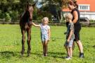 FerienhausNiederlande - : Landgoed De Scheleberg 24