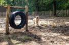 FerienhausNiederlande - : Recreatiepark Beekbergen 8