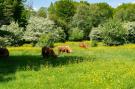 FerienhausNiederlande - : Resort Het Amsterdamse Bos 9