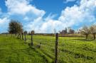 FerienhausNiederlande - : De Rijskeet