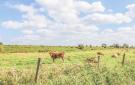 FerienhausNiederlande - : Kortgene