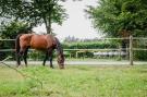 FerienhausNiederlande - : Dorpswoning De Volbloed