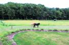 FerienhausNiederlande - : De Familieboerderij