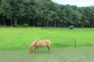 FerienhausNiederlande - : De Familieboerderij