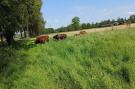 FerienhausNiederlande - : Welskerveen - 4 personen