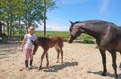 FerienhausNiederlande - : Villavakantiepark IJsselhof 11