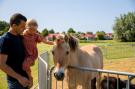 FerienhausNiederlande - : Villavakantiepark IJsselhof 11