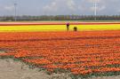 FerienhausNiederlande - : Flevohuis