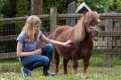 FerienhausNiederlande - : Recreatiepark Het Winkel 4