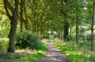 FerienhausNiederlande - : Bie Leentje on the meadow