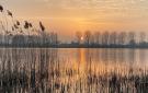 FerienhausNiederlande - : Kerkdriel