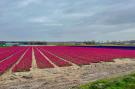 FerienhausNiederlande - : Familiehuis in Noordwijkerhout