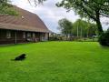 FerienhausNiederlande - : 82469