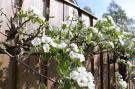 FerienhausNiederlande - : Vakantiehuis in zonnig Grou