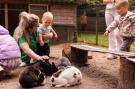 FerienhausNiederlande - : Parc Heihaas 2