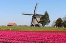 FerienhausNiederlande - : Strandleven 106