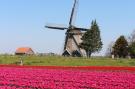 VakantiehuisNederland - : Strandleven 201