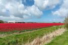 VakantiehuisNederland - : Strandslag 157