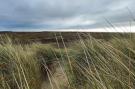 FerienhausNiederlande - : Beach Studio Texel