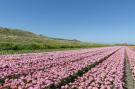 FerienhausNiederlande - : Effe Sprage