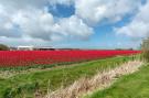 FerienhausNiederlande - : Garnekuul 12