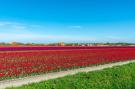 FerienhausNiederlande - : De Buitenplaats 72