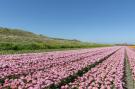 FerienhausNiederlande - : Hoeve Landzicht