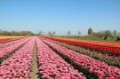 FerienhausNiederlande - : Wijde Blick 211