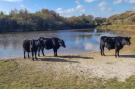 FerienhausNiederlande - : Wijde Blick 211