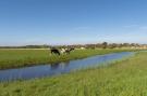 FerienhausNiederlande - : De Buitenplaats 42