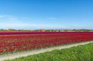 FerienhausNiederlande - : De Buitenplaats 7