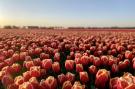 FerienhausNiederlande - : Wijde Blick 301