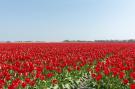 FerienhausNiederlande - : Wijde Blick 307