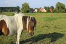 Holiday homeNetherlands - : Villavakantiepark IJsselhof 6