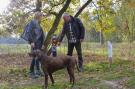 FerienhausNiederlande - : Maaspark Boschmolenplas - Havenblik