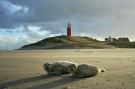 FerienhausNiederlande - : 't Hoogelandt 1