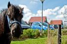 FerienhausNiederlande - : Recreatiepark de Stelhoeve 1